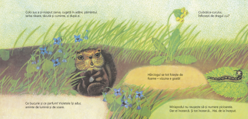 Barza - carte ilustrata, poveste pentru copii - coperta