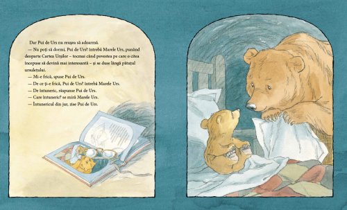 Nu ți-e somn, ursulețule? - carte ilustrata, poveste pentru copii de citit impreuna - despre culcare, frica de intuneric