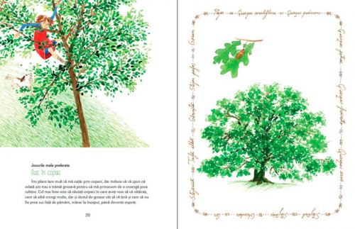Luli și căsuța din copac, de Iulia Iordan - carte ilustrată, poveste pentru copii, literatură română