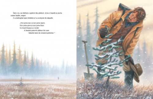 Micul brad, de Margaret Wise Brown - carte ilustrată, poveste pentru copii despre Crăciun