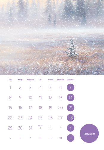 Calendar de perete pe anul 2024 cu ilustrații de Jim LaMarche