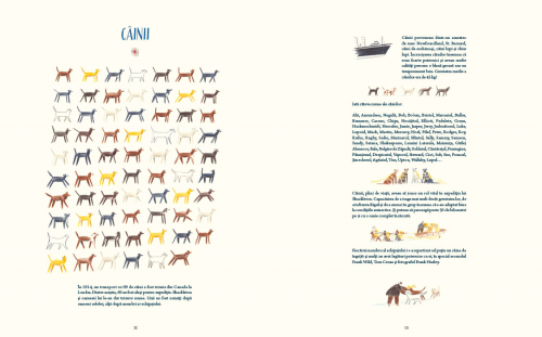 Carte ilustrata, poveste educativa pentru copii despre explorare, Antarctica, Polul Sud