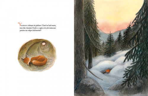 Vulpoiul si tomtele, de Astrid Lindgren - carte ilustrata pentru copii