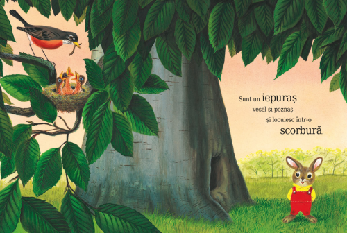 Sunt un iepuras, de Richard Scarry, poveste educativa pentru copii, carte ilustrata despre natura si anotimpuri