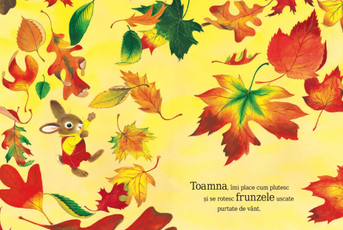 Sunt un iepuras, de Richard Scarry, poveste educativa pentru copii, carte ilustrata despre natura si anotimpuri
