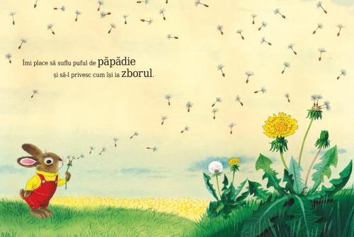 Sunt un iepuras, de Richard Scarry, poveste educativa pentru copii, carte ilustrata despre natura si anotimpuri