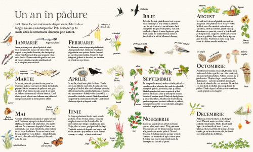 Padurea lui Soricel - carte ilustrata, cu clapete, poveste pentru copii despre anotimpuri, natura si prietenie