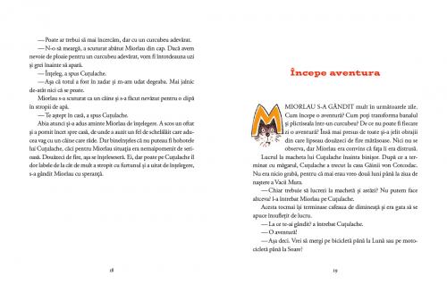 Carte ilustrata, roman pentru copii, povesti cu mult umor despre prietenie, joaca, aventuri