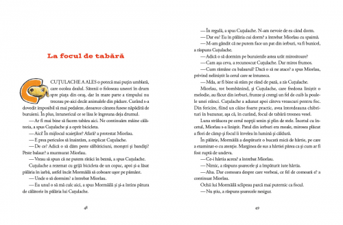 Carte ilustrata, roman pentru copii, povesti cu mult umor despre prietenie, joaca, aventuri