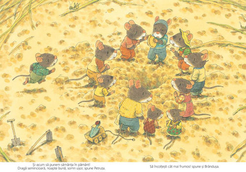Dovleacul familiei Șoricel - carte ilustrata educativa, poveste pentru copii, literatura japoneza