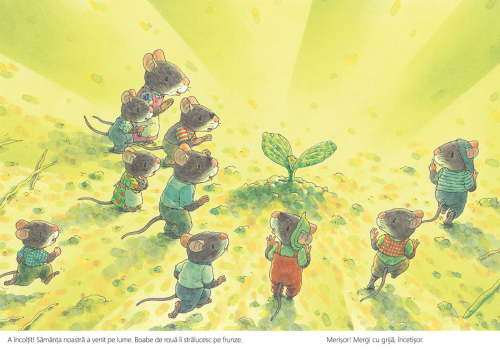 Dovleacul familiei Șoricel - carte ilustrata educativa, poveste pentru copii, literatura japoneza