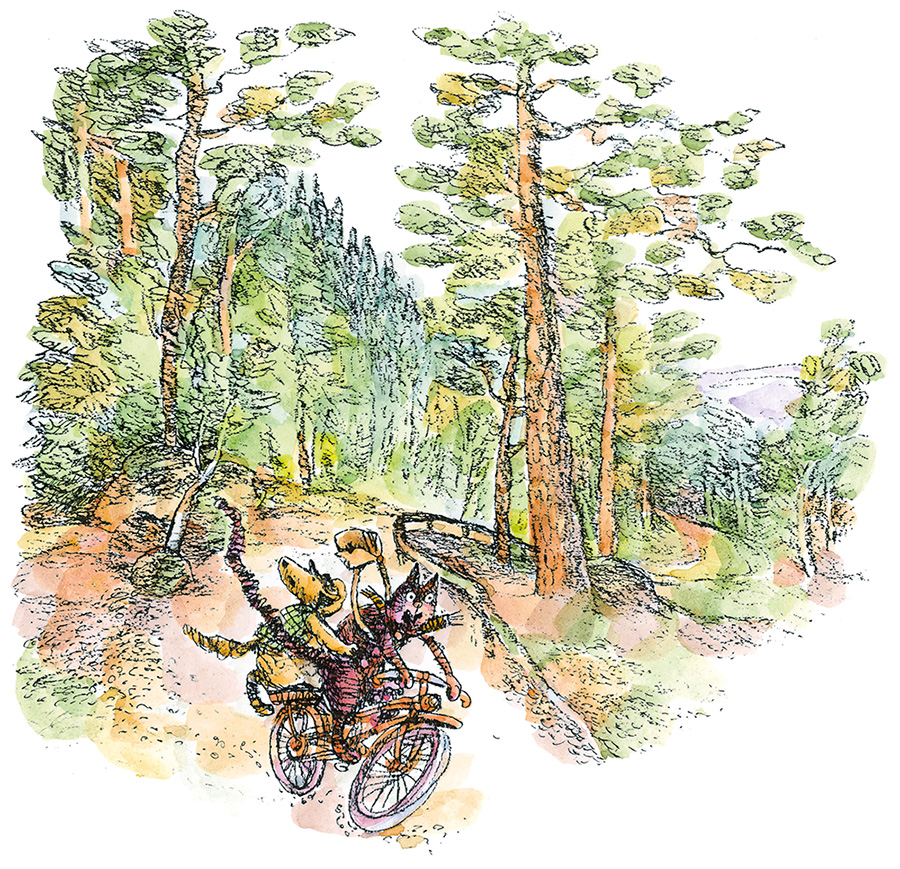 Carte ilustrata, roman pentru copii, povesti cu mult umor despre prietenie, joaca, aventuri